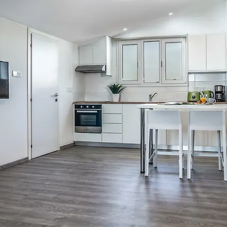 Silver - Loft Apartment *
